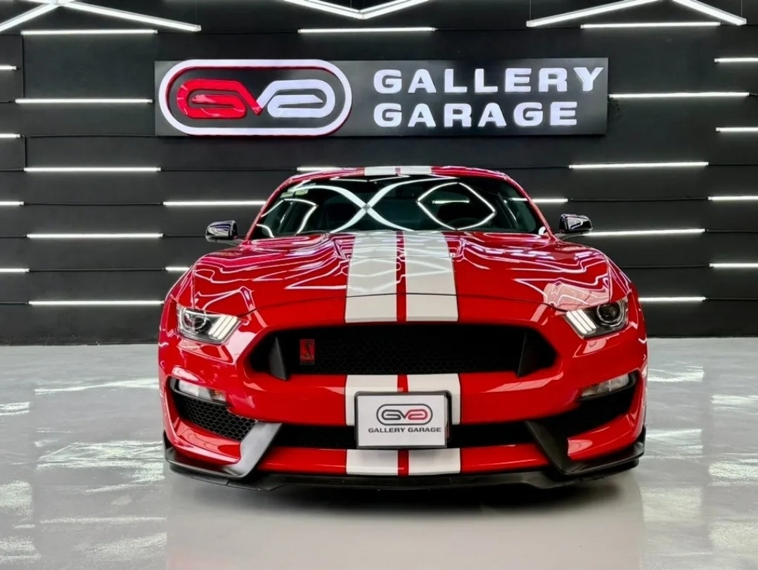 Ford Mustang 5.2l Shelby Gt350 Mt Deportivos| 2018| 3,200 KM