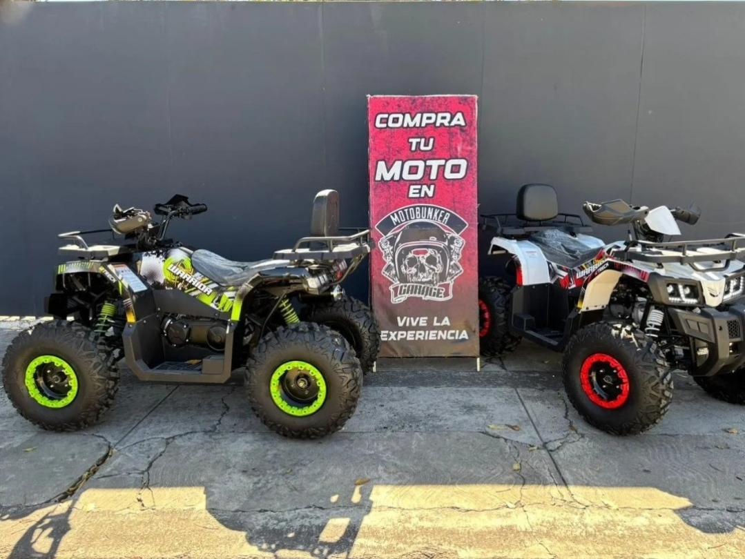 Cuatrimoto Warrior 200cc| 2024| 0 KM